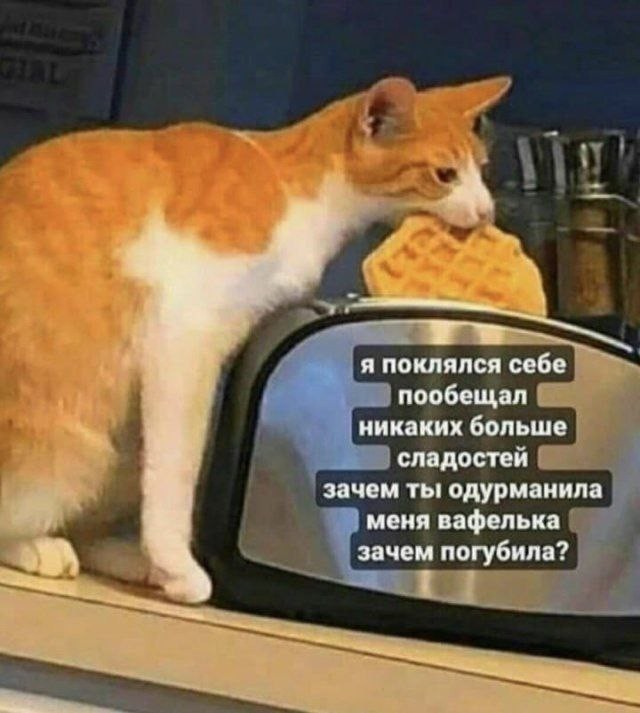 Народная меДИЧина 6006