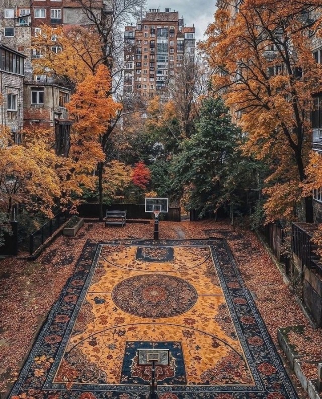 Нашëл за года