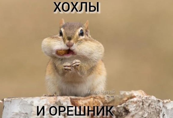 Путин начал обращение к россиянам