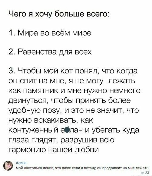Смешные картинки с надписями на пятницу