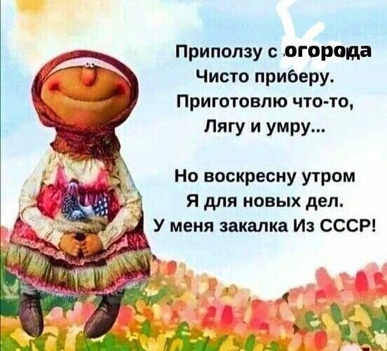 Так себе картинки 29.04.25