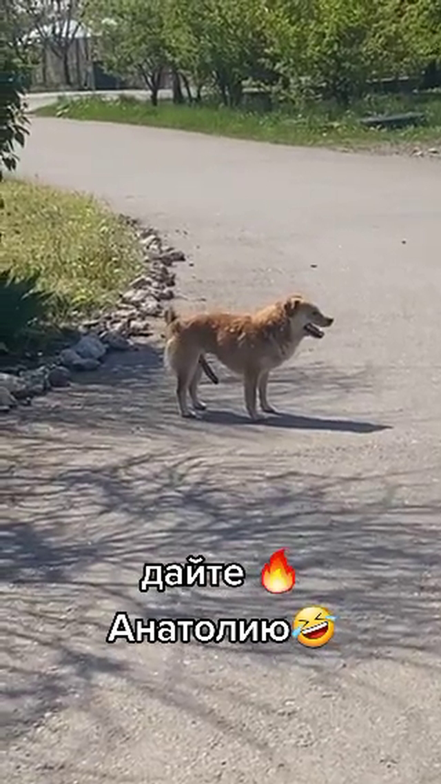 Забавные и не очень скромные картинки - 6