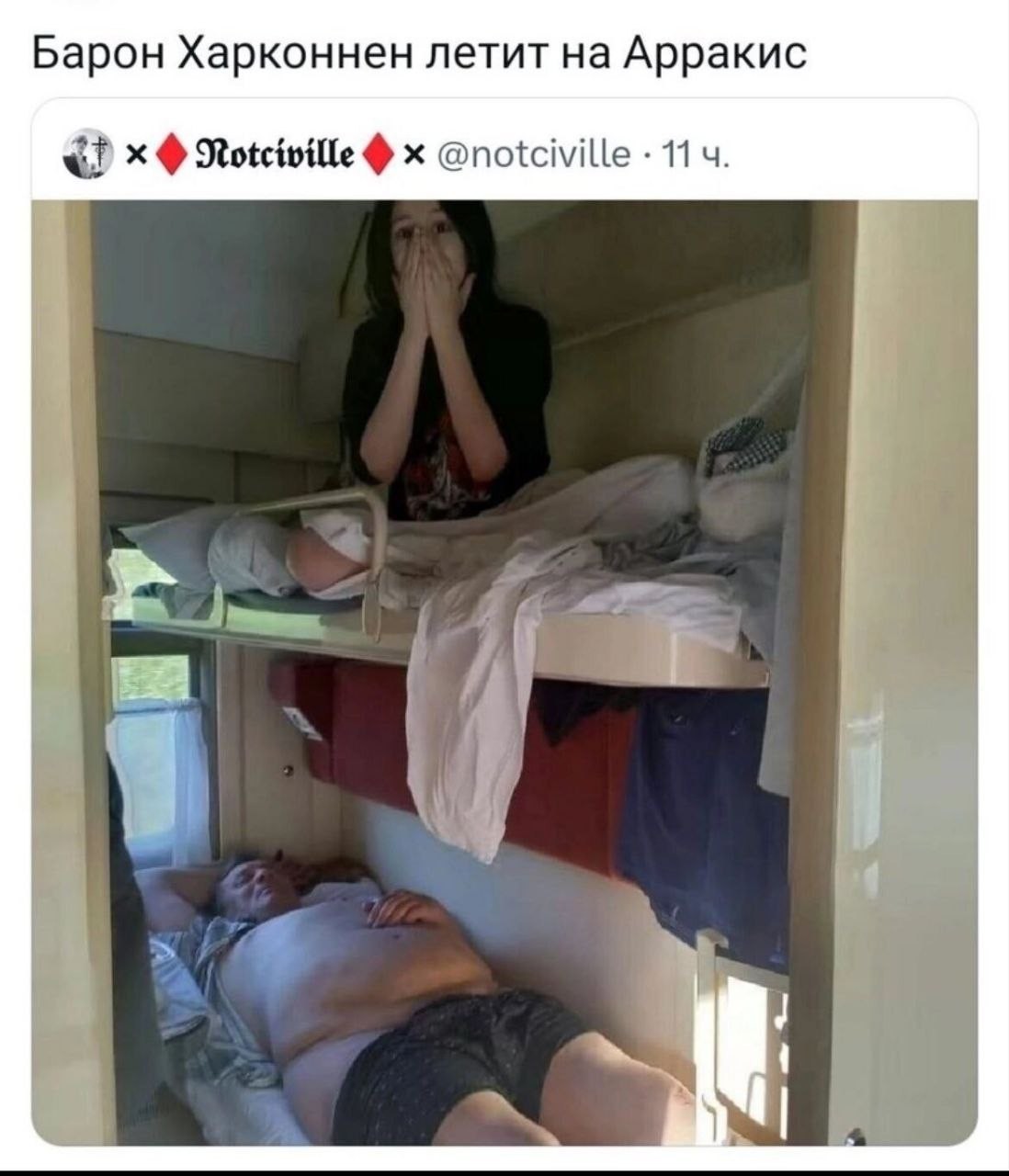 20360779.jpg