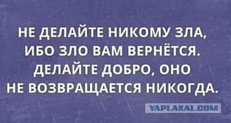 Картинки для деградации 79 (разной степени свежести)