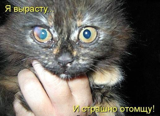 Оно