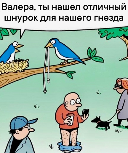 В интернете все смелые