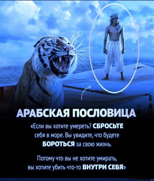 Картиночки, баянчики 30 января