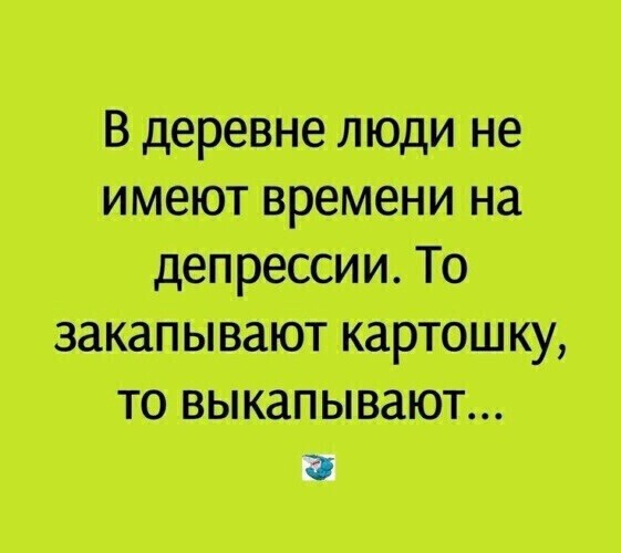 Воскресные картинки