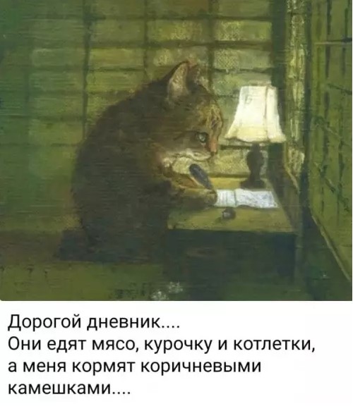 Котямбосы
