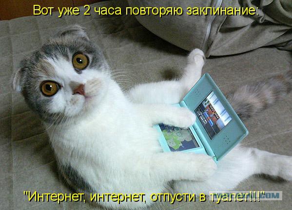 Не про олимпиаду