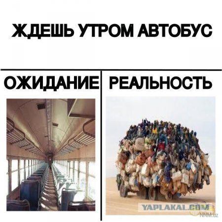 Ожидания VS Реальность