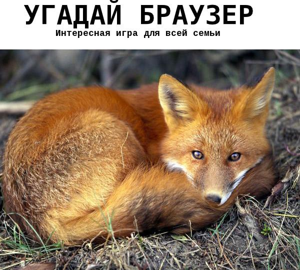 Угадай браузер