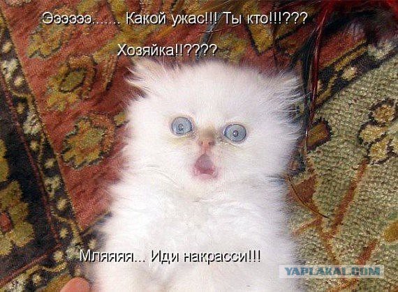 Смешные картинки