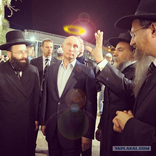 Свой среди своих