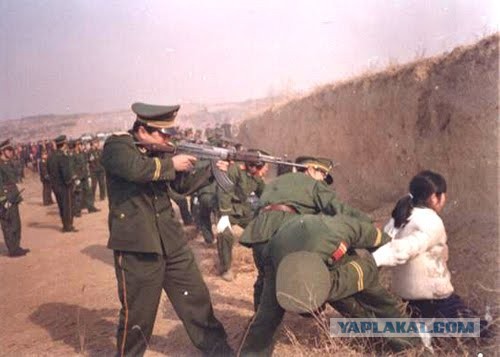 Ледяная рыбка.
