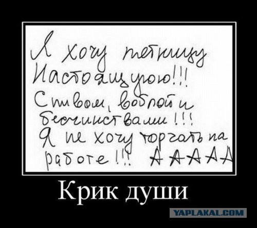 Подборка прикольных фото на пятницу