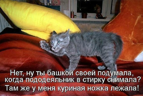 Картинки и демотиваторы