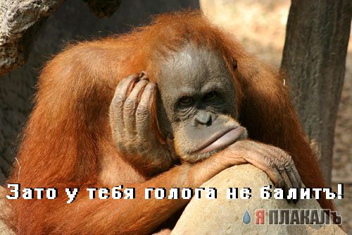 Уже да :) Ужо пятнецца...
