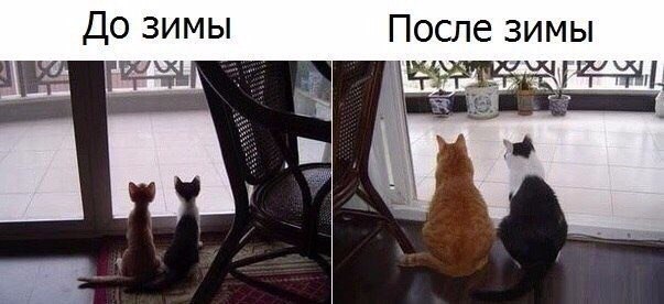 Разные картинки из сети