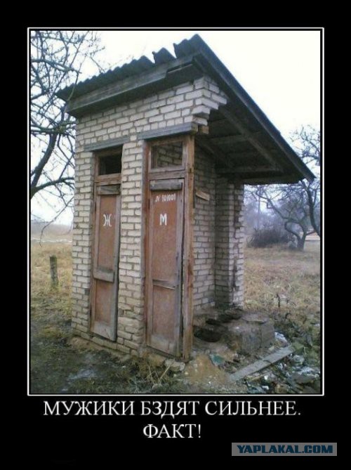 Подборка интересных и веселых картинок