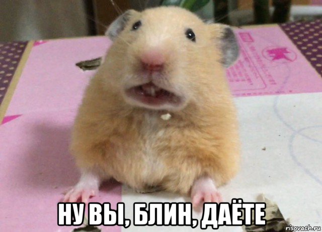 "Это все потому, что кто-то слишком много ест!"