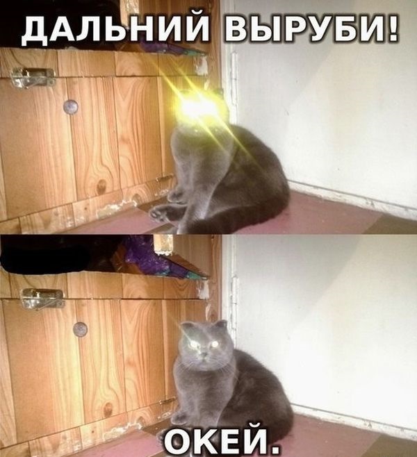 Просто юмор 13