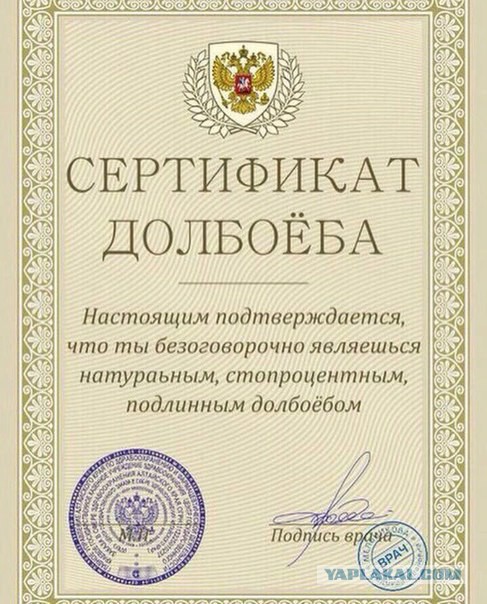Кадыров наехал на Зюганова