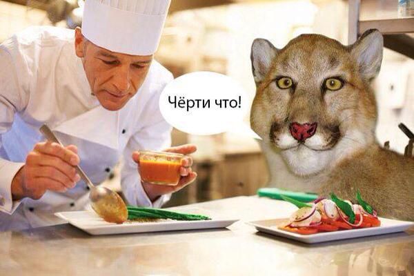 "Это моя территория!"