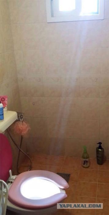 Идеальный момент и ракурс сделали свое дело