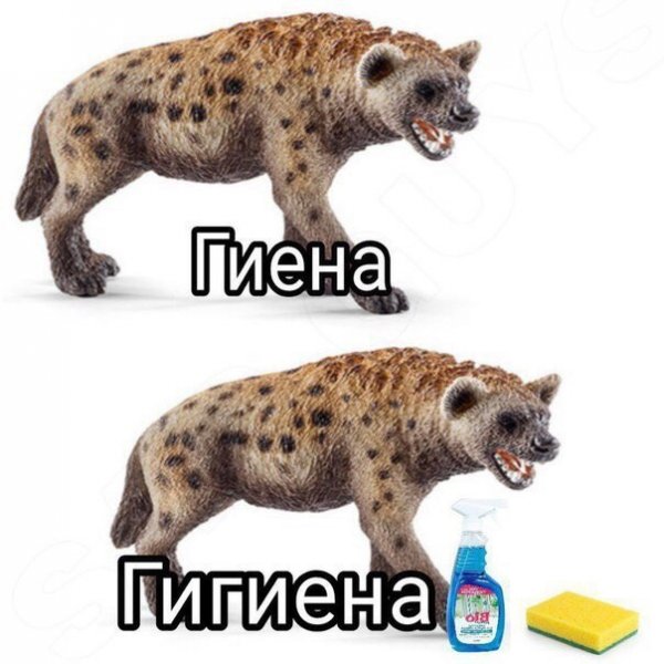 Нестандартный юмор