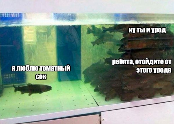 Нестандартный юмор