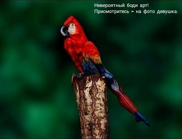 Нестандартный юмор