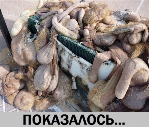 Да что тут вообще происходит?