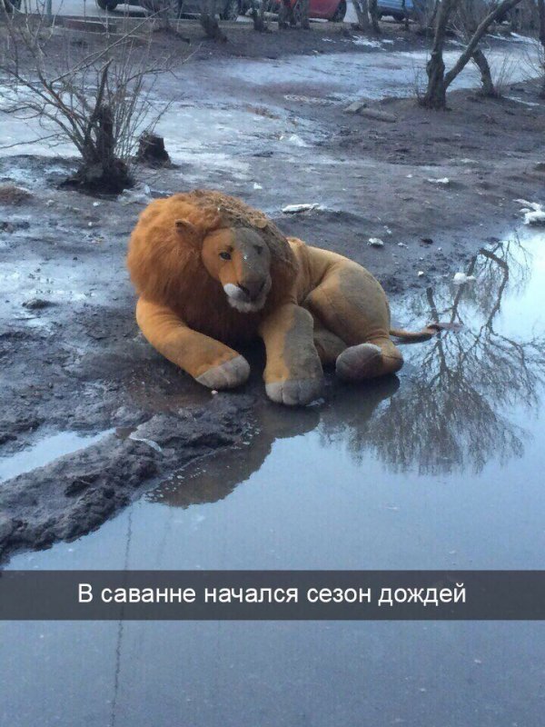 Картинки понедельника