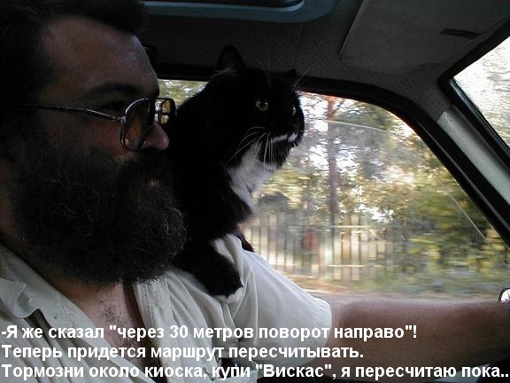 Штурман