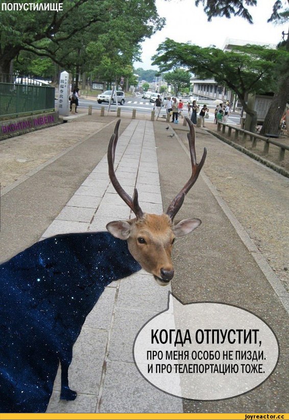 Злопамятные твари или как я с жизнью попрощался