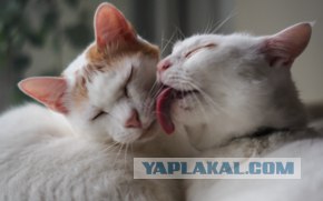 Руки убери, ок?