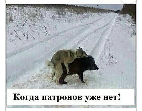 Пикчевая ерунда