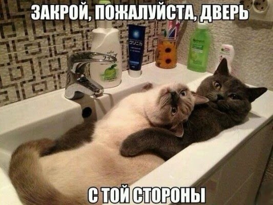 Картинки с надписями, истории и анекдоты