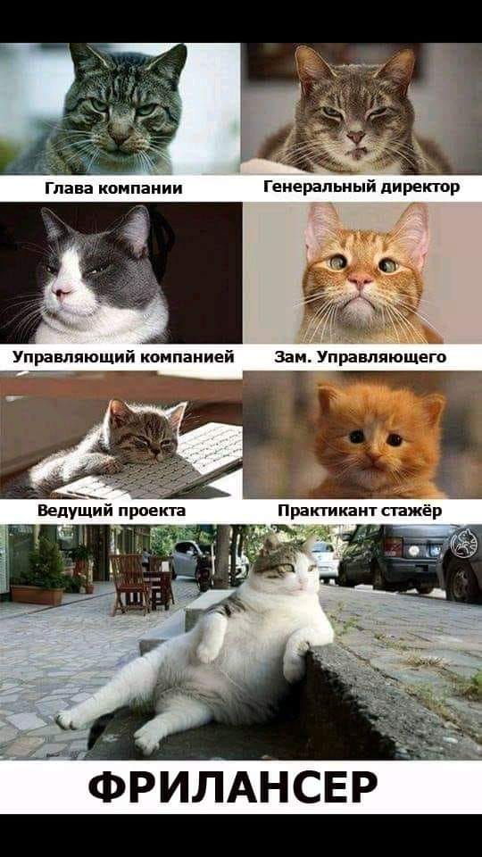 Чуток картинок