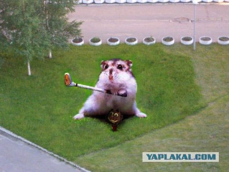 Косить нужно уметь!