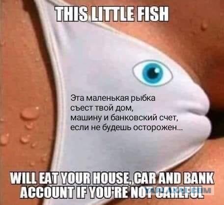 В Италии открываются приюты для разведенных мужчин