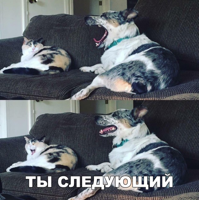 Бредзона 24.12.2019
