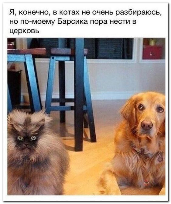 Немного картинок для настроения 21.01.20