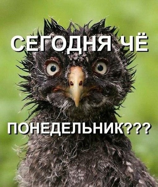 Маршрут перестроен