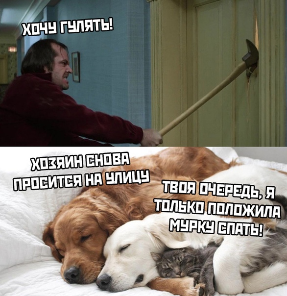 Пара-пара-пам! Фьють! 09.04.20