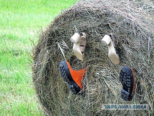 Девушки и сено... и солома