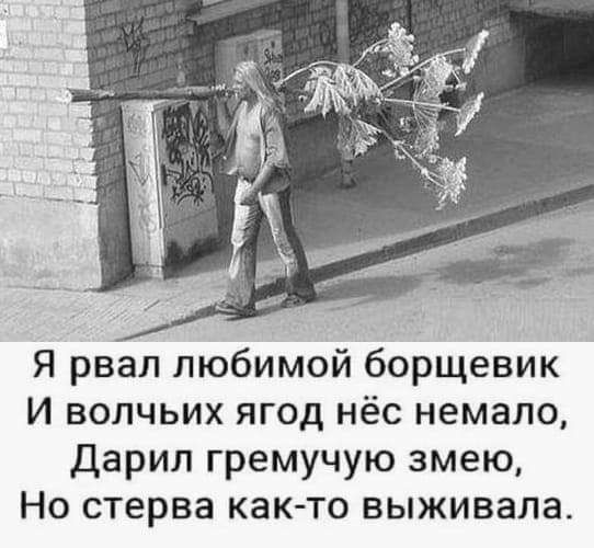 Немного картинок для настроения 20.05.20