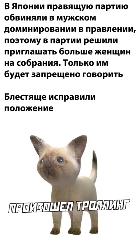 Весёлый полтишок 19.02