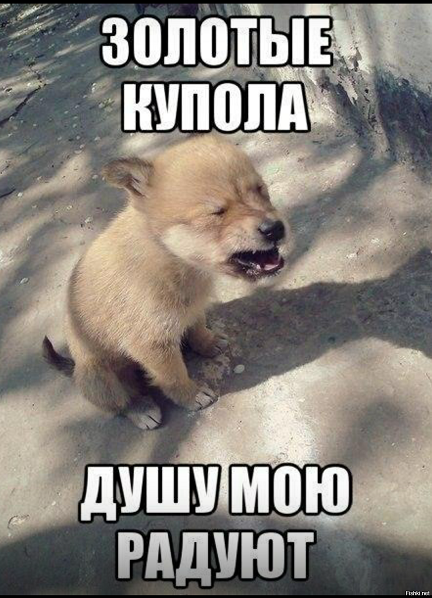 В РПЦ осудили Елену Ваенгу, спевшую «Золотые купола» Михаила Круга в образе монаха с бородой.